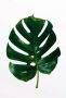 Komar Poster Monstera Leaf Kinderkamer slaapkamer woonkamer - Thumbnail 5