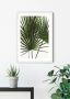 Komar Poster Palmtree Leaves Kinderkamer slaapkamer woonkamer - Thumbnail 2