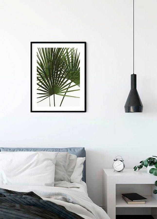 Komar Poster Palmtree Leaves Kinderkamer slaapkamer woonkamer