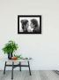 Komar Poster Star Wars Classic Leia Han Love Kinderkamer slaapkamer woonkamer - Thumbnail 2