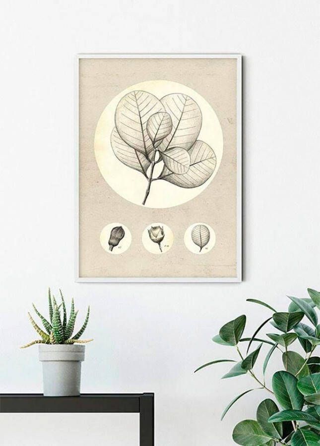 Komar Poster Transparant Leaf Kinderkamer slaapkamer woonkamer