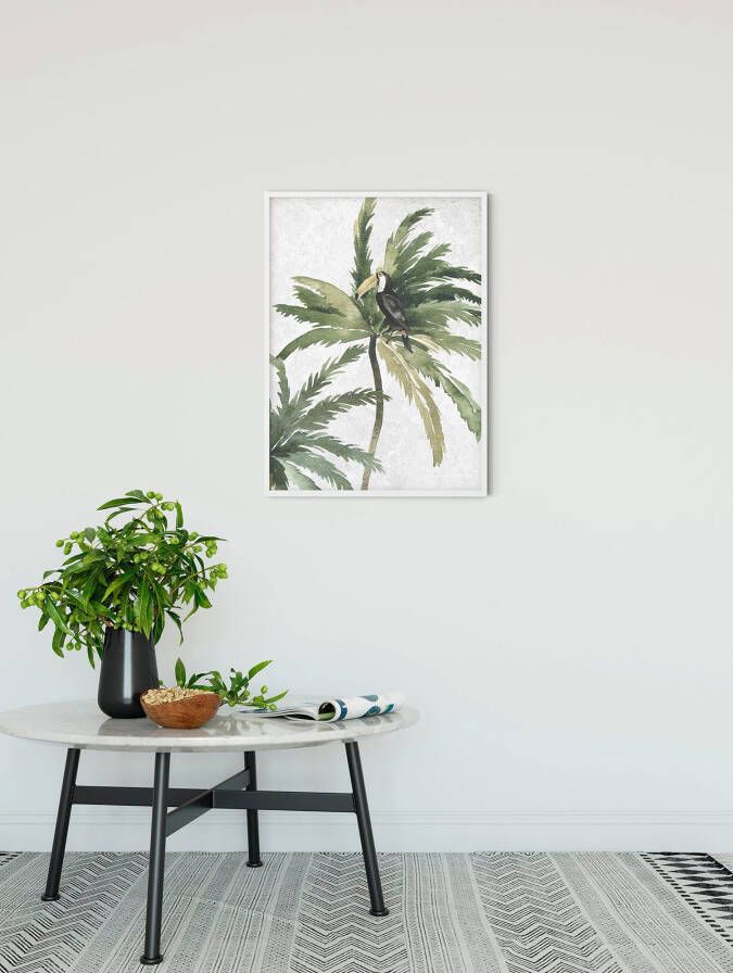 Komar Poster Tropical Toucan Kinderkamer slaapkamer woonkamer (1 stuk)