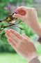 Komar Raamdecoratie Wedding Birds 31x31 cm (breedte x hoogte) zelfklevend (1 stuk) - Thumbnail 5