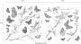 Komar Raamdecoratie Vlinders 31x31 cm (breedte x hoogte) zelfklevend (set 27 stuks) - Thumbnail 5