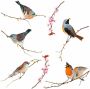 Komar Raamdecoratie Vogels 31x31 cm zelfklevend (12 stuks) - Thumbnail 2