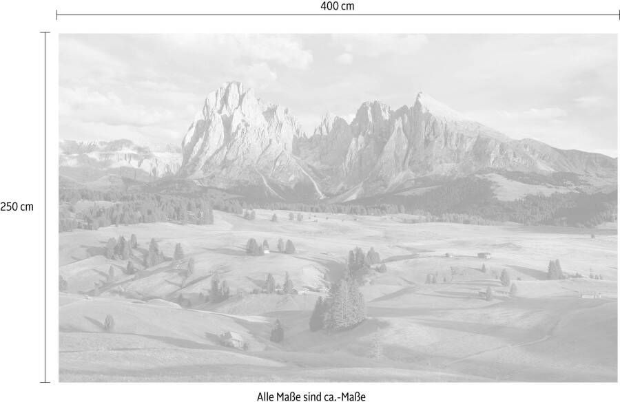 Komar Vliesbehang Alpen (1 stuk)