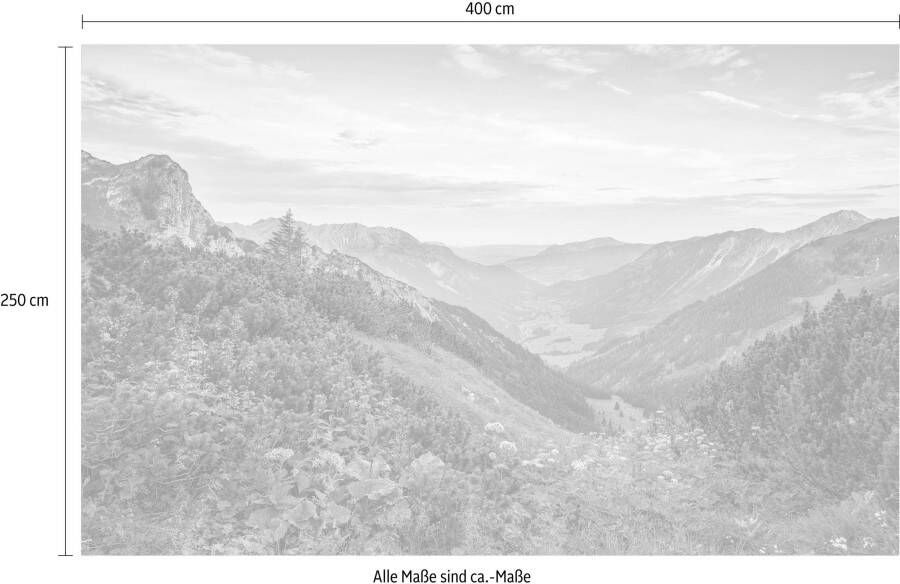 Komar Vliesbehang Alps (1 stuk)