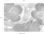 Komar Vliesbehang Aquarel 350x250 cm (breedte x hoogte) - Thumbnail 3