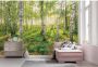 Komar Vliesbehang Digitale print vlies Birch Trees Afmeting 400 x 250 cm (1 stuk) - Thumbnail 2