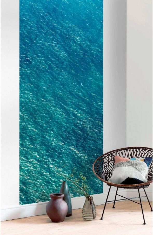 Komar Vliesbehang Digitale print vlies Blaupause Panel Afmeting 100 x 250 cm (1 stuk)