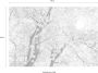Komar Vliesbehang Bloom 400x260 cm (breedte x hoogte) - Thumbnail 4