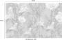 Komar Bloomin Vlies Fotobehang 400x250cm 4-banen - Thumbnail 4