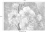 Komar Blooming Gems Vlies Fotobehang 368x248cm 4-delen - Thumbnail 4