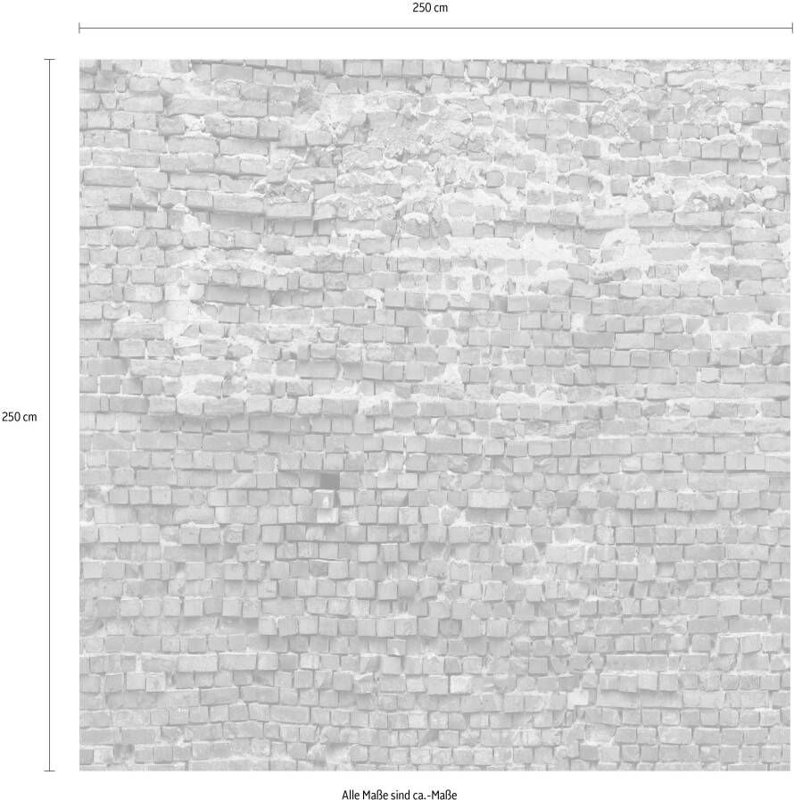 Komar Vliesbehang Bricklane 250x250 cm (breedte x hoogte)