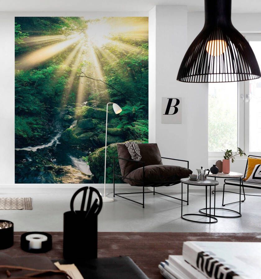 Komar Vliesbehang DIVINE 200x250 cm (breedte x hoogte) vliesbehang 100 cm baanbreedte (1 stuk)