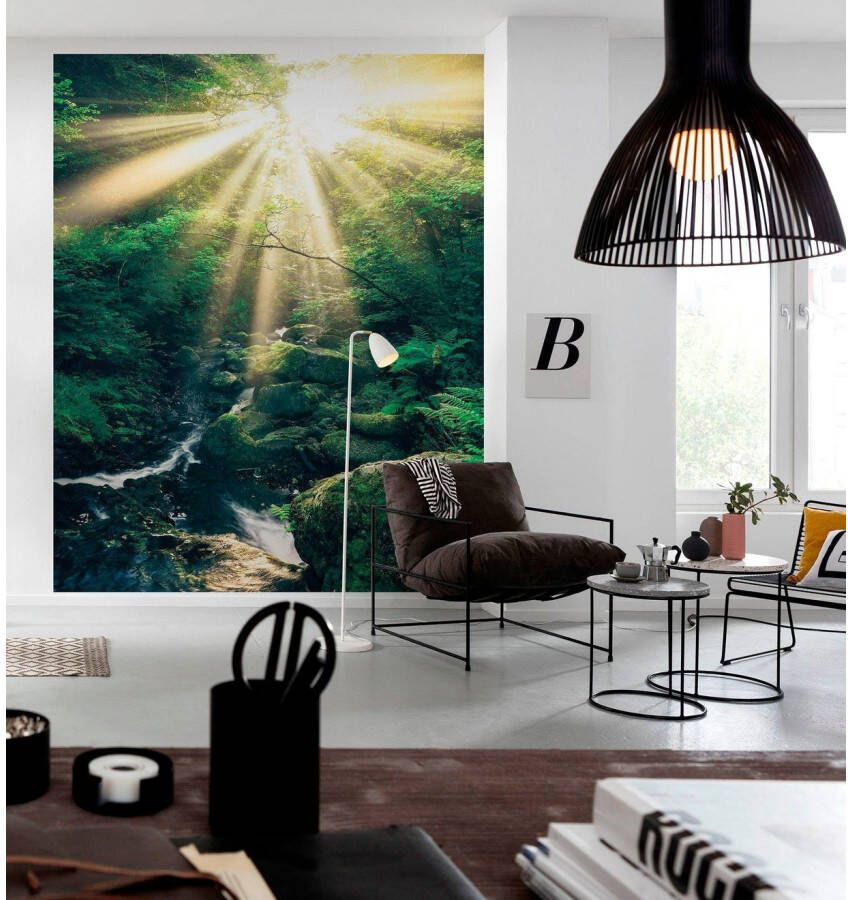 Komar Vliesbehang Digitale print vlies Divine Afmeting 200 x 250 cm (1 stuk)