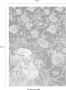 Komar Vliesbehang Femme d'Or 200x280 cm (breedte x hoogte) - Thumbnail 5
