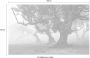 Komar Ghost Line Vlies Fotobehang 400x250cm 4-banen - Thumbnail 4