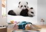 Komar Vliesbehang Giant panda 300 x 280 cm (breedte x hoogte) 6 banen (6 stuks) - Thumbnail 3