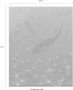 Komar Vliesbehang Ginkgo 200 x 250 cm (breedte x hoogte) - Thumbnail 3