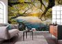 Komar Vliesbehang Digitale print vlies Golden Embrace Afmeting 400 x 250 cm (1 stuk) - Thumbnail 2