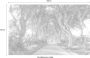Komar Golden Hedges Vlies Fotobehang 400x250cm 4-banen - Thumbnail 4