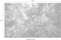 Komar Into The Jungle Vlies Fotobehang 400x250cm 4-banen - Thumbnail 3