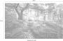 Komar Mystic Path Vlies Fotobehang 400x250cm 4-banen - Thumbnail 4