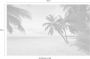 Komar Paradise Morning Vlies Fotobehang 400x250cm 4-banen - Thumbnail 4