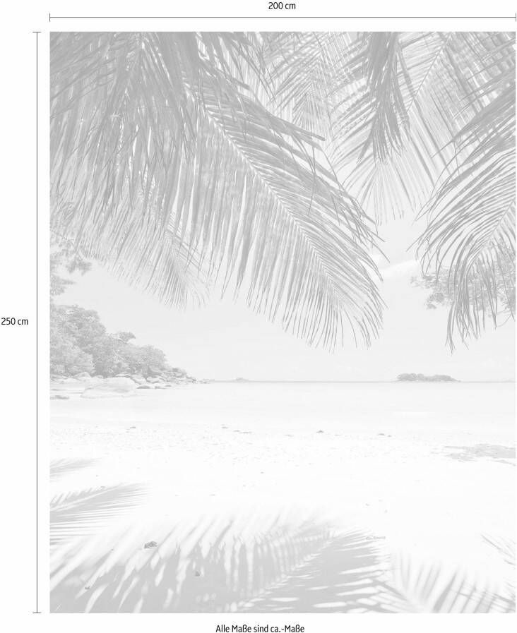 Komar Vliesbehang Hefele Under Palmtree (1 stuk)