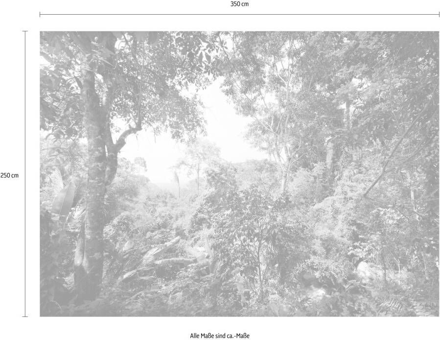 Komar Vliesbehang Junglekleur 350x250 cm (breedte x hoogte)