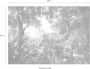 Komar Vliesbehang Junglekleur 350x250 cm (breedte x hoogte) - Thumbnail 3