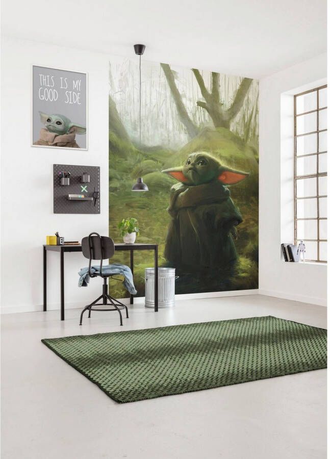 Komar Vliesbehang Digitale print vlies Mandalorian Grogu Acrylic Afmeting 200 x 280 cm