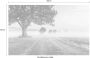 Komar Misty Morning Vlies Fotobehang 400x250cm 4-banen - Thumbnail 4