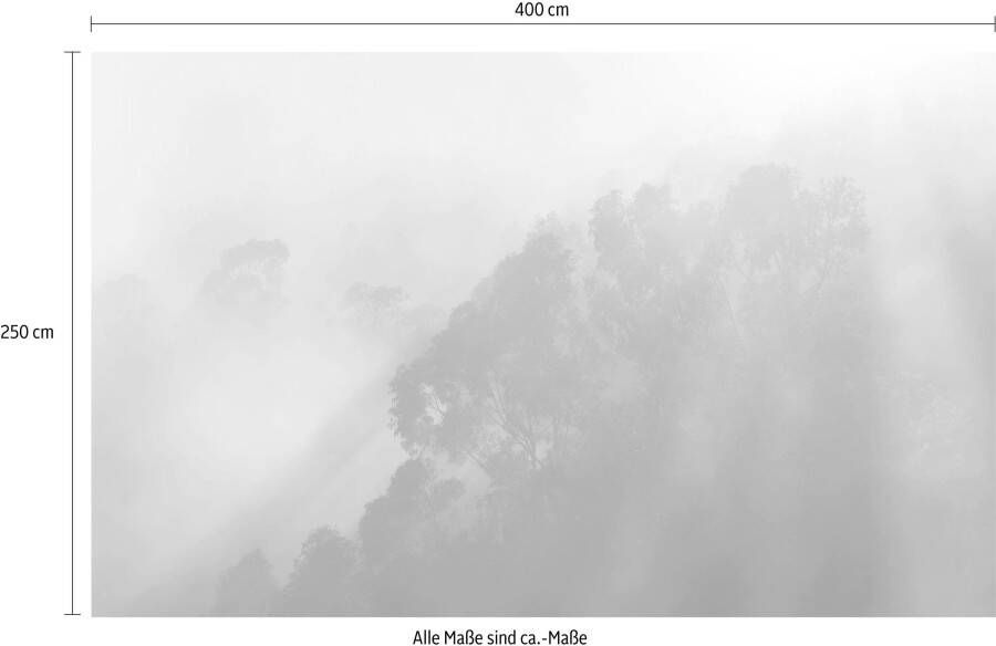 Komar Vliesbehang Misty Mountain (1 stuk)
