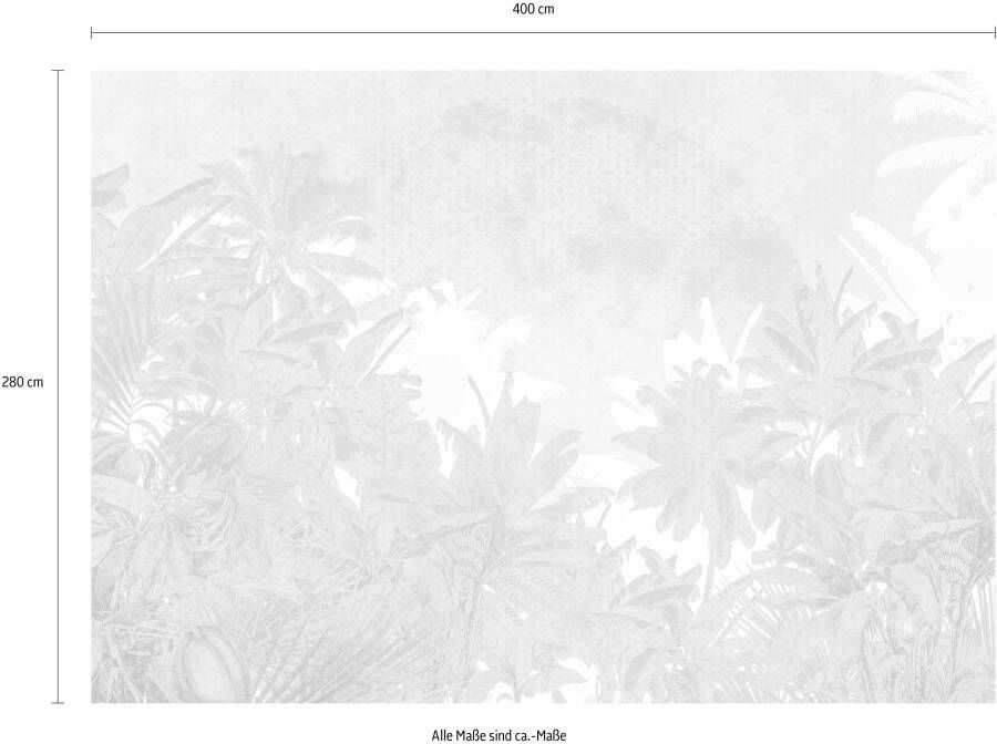 Komar Vliesbehang Palmiers 400x280 cm (breedte x hoogte)