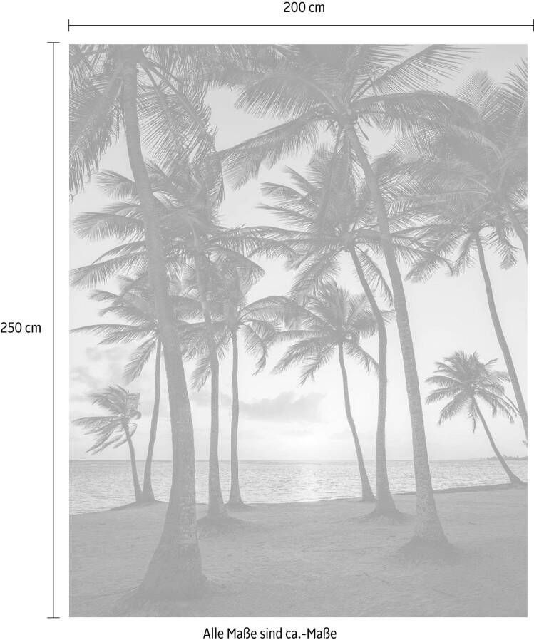 Komar Vliesbehang Palmtrees on beach (1 stuk)