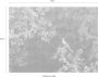 Komar Fotobehang Paradis 350x260 cm - Thumbnail 6