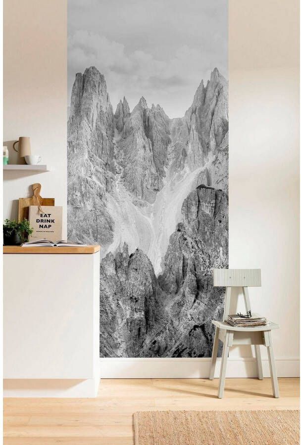Komar Vliesbehang Digitale print vlies Peaks Panel Afmeting 100 x 250 cm (1 stuk)