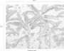 Komar Vliesbehang Plantation 350x270 cm (breedte x hoogte) - Thumbnail 6