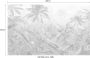 Komar Fotobehang Amazonia Black and White 400x250 cm - Thumbnail 4