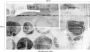 Komar Cells Wrapping Vlies Fotobehang 500x280cm 5-banen - Thumbnail 4