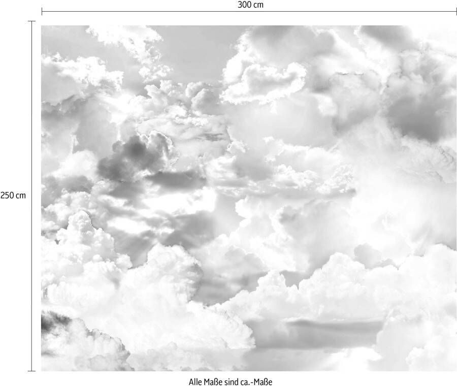 Komar Vliesbehang Pure Clouds (1 stuk)
