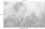 Komar Forest Land Vlies Fotobehang 400x250cm 4-banen - Thumbnail 4