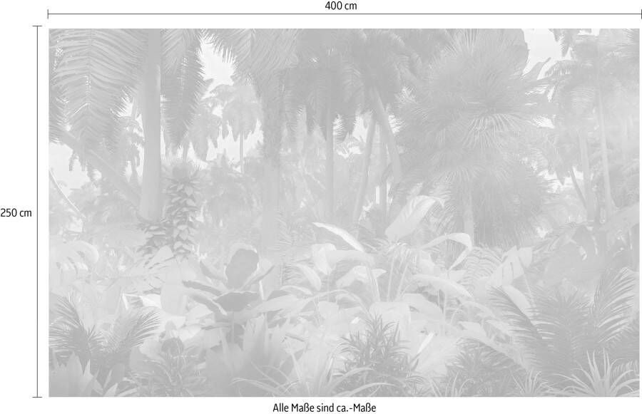 Komar Vliesbehang Pure Misty Jungle (1 stuk)
