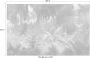 Komar Misty Jungle Vlies Fotobehang 400x250cm 4-banen - Thumbnail 4