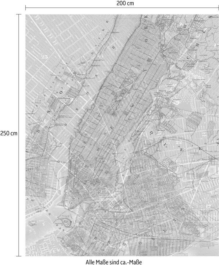 Komar Vliesbehang Pure New York Map (1 stuk)