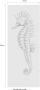 Komar Seahorse Vlies Fotobehang 100x250cm 1-baan - Thumbnail 4