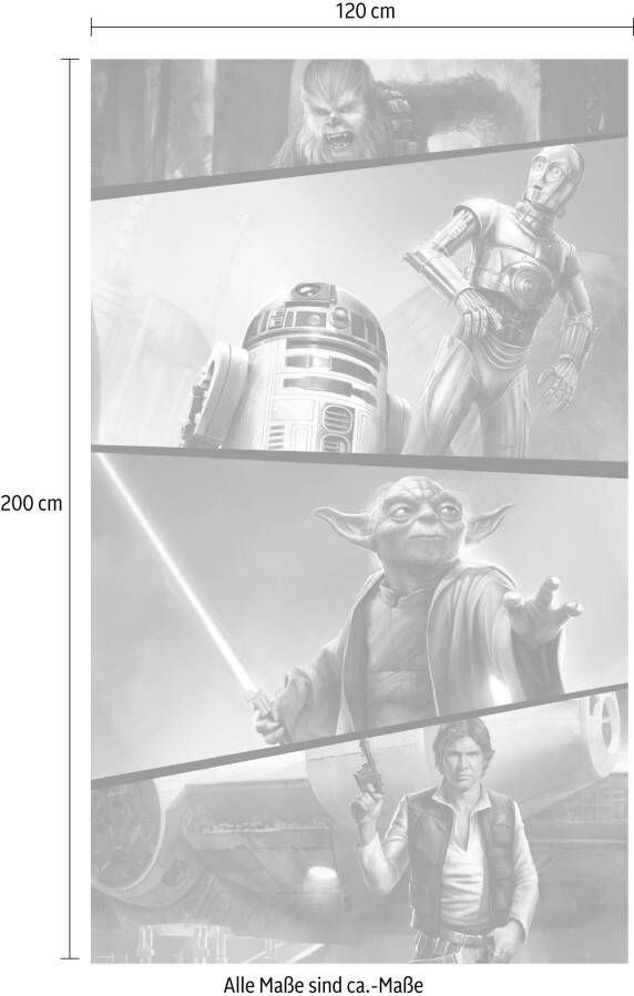 Komar Vliesbehang Star Wars Moments Rebels 120x200 cm (breedte x hoogte) vliesbehang 100 cm baanbreedte (1 stuk)