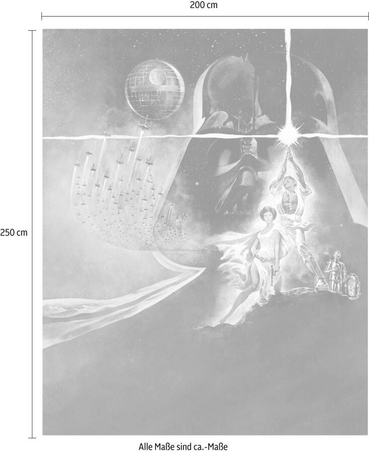 Komar Vliesbehang Star Wars Poster Classic2 (1 stuk)